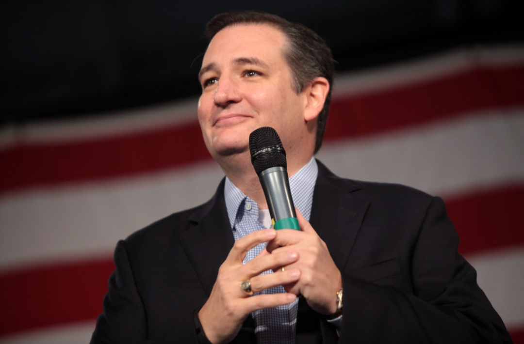 Ted Cruz，共和党籍德克萨斯参议员
